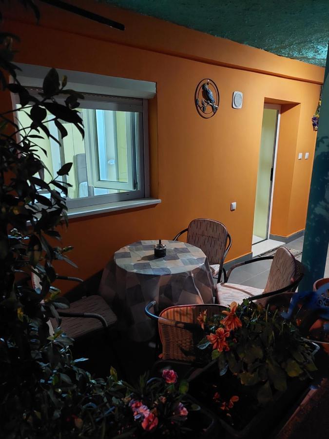 Mexicana Apartment Yellow Zadar Extérieur photo